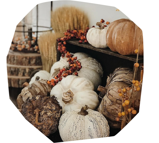 Bringing Biophilia to Halloween