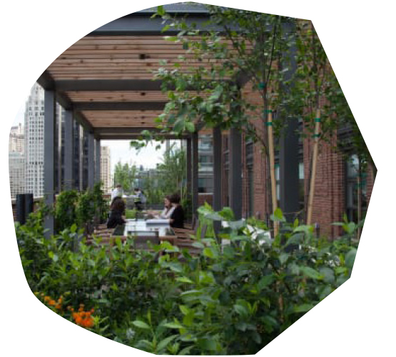 Biophilic Offices in Demand
