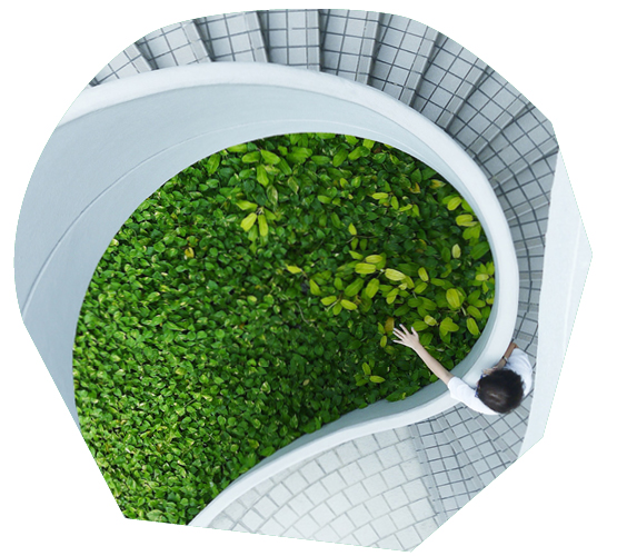 Biophilic Design and Community