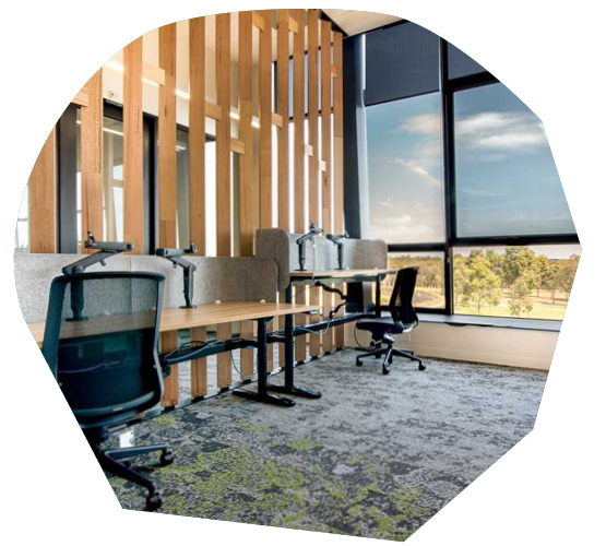 Biophilic Building Design