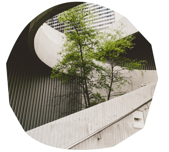 Greenbuild 2020 Talks Benefits of Biophilic Design