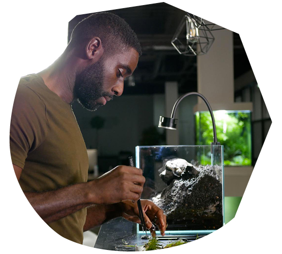 Nature in the Office for Employee Wellbeing