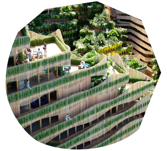 Biophilic Regenerative Design