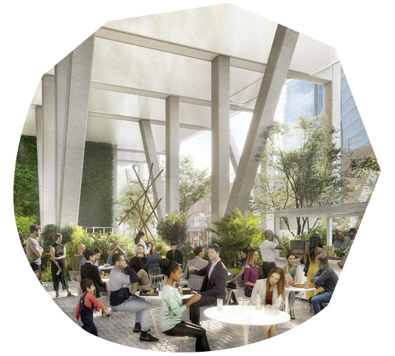 UK Design Firm Plans Biophilic Workspace