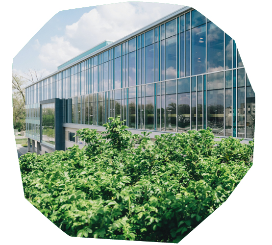 Biophilic Design in Workspaces