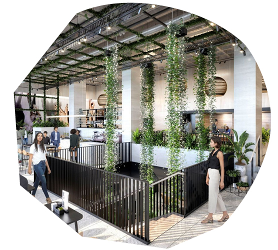 Piccadilly Workspace Embraces “Smart” Biophilia