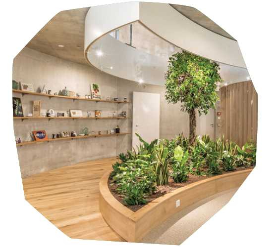 Biophilic Spaces for Improved Wellness